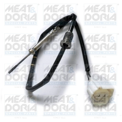 Sensor, exhaust gas temperature